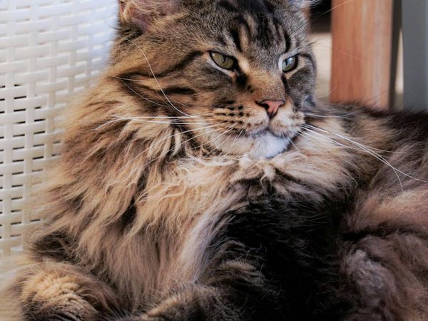 Close up of eyes looking calm and rested